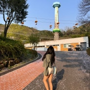 과천 서울대공원 동물원에서 리프트 타고 출구로 가기 : 리프트패키지 이용