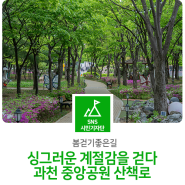 [봄걷기좋은길]싱그러운 계절감을 걷다, 과천 중앙공원 산책로
