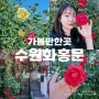 서울근교 나들이 5월 가볼만한곳 수원 화성행궁 데이트 코스 장미 명소 개화시기