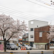 [대명동상가주택] 4월 벚꽃 배경으로 중목구조 주택 사진촬영 완료