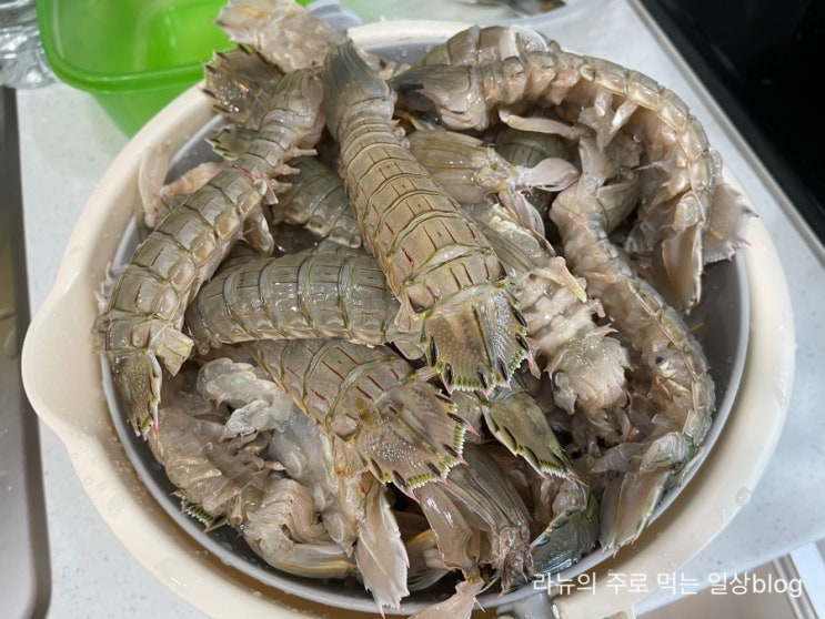갯가재 손질해서 갯가재장, 갯가재찜 요리만들기 : 네이버 블로그