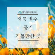 경북 영주 풍기 가볼만한 곳