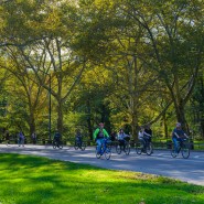 [푸른의 뉴욕뉴욕] 뉴욕 센트럴파크에서 자전거 대여 방법 총 정리/Citi Bike/자전거도로 이용법/인라인 스케이트 대여