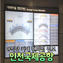 인천국제공항 1터미널 1,3층 식당 카페 편의점 정보 (2024년 4월 기준)