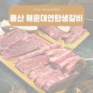 울산 한우 맛집 추천 '해운대연탄생갈비' 눈과입이 즐거워요