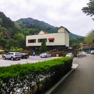 강원도횡성5,000평멋진정원 대형카페음식점기업연수원부지매매 Garden Cafe Restaurant For Sale