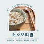 [충남/당진] 소소한 행복을 느낄 수 있는 보리밥 맛집 :: 소소보리밥