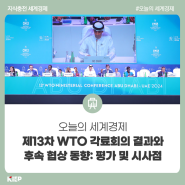 제13차 WTO 각료회의 결과와 후속 협상 동향: 평가 및 시사점