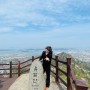목포 여행 가볼만한 곳 유달산 목포 평화광장 벚꽃산책