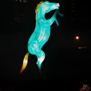 서울 광화문 등불축제 사진(16 - 동물 모형)