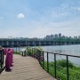 봄꽃 구경하며 산책하기 좋은 서울 가볼만한곳 이촌한강공원