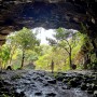 제주도 동쪽 가볼만한곳 오늘은 녹차한잔 성읍녹차동굴