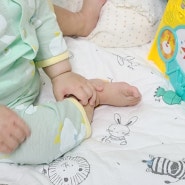 9개월아기 284일~294일 육아일기 옆으로 누워자기,건조한 아기 피부,기저귀 샘