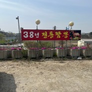김포 38년 전통 <김포태양짬뽕>
