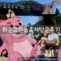 [2024화순고인돌봄꽃축제][전남화순벨리곰] 방문 후기, 축제 기간, 꿀팁 사항들!
