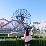 미국 LA 디즈니랜드 3일차 캘리포니아 어드밴처 파크 놀이기구 즐기기