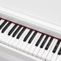 쿠팡에서 인기 급상중인 20만원대 전자 피아노 11번가 특가 조건이 더 좋은데요....