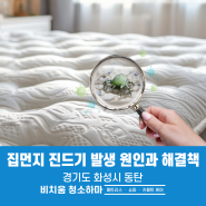 집먼지 진드기의 발생 원인과 대처방법 동탄매트리스청소