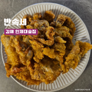 김해 어방동 술집 닭껍질튀김 가성비 좋은 안주맛집 반속세
