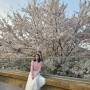 마산 덕동 벚꽃테라스가 있는 신상 카페 :: 어위크커피