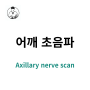 Axillary nerve / 액와신경 / branch scan