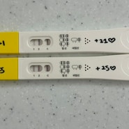 임신 4주 5주 파이널 임테기 쓰리라인 체크 테스트기로 아기집 난황 예측하기