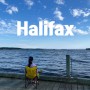 캐나다 핼리팩스 7월엔 오징어 낚시