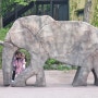 고모할머니랑 서울대공원(동물원)
