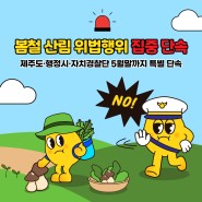 봄철 산림 위법행위 특별단속반 운영!