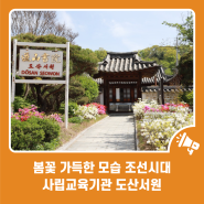 봄꽃 가득한 모습 조선시대 사립교육기관 도산서원