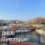 경산 가볼 만한 곳 : 마위지 근린공원 : 경북 벚꽃 명소