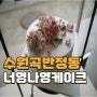 [수원] 생일,기념일 5월 가정의 달 꽃케이크 :: 너영나영케이크
