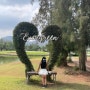 [골프 여행] 태국 칸차나부리 에버그린힐스cc 전지훈련 2