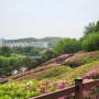 군포 철쭉축제 (꽃이 다 저버렸..ㅠ)