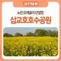 노란 유채꽃이 만발한 삽교호호수공원