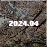24년 4월 : 봄바람 휘날리며 흩날리는 벚꽃잎이