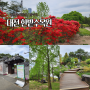 싱그러운 4월, 대전 한밭수목원 동원 걷다!