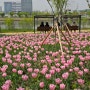 봄이 지나기 전에 튤립 정돈 봐야지~ : 스타벅스 마곡나루공원점 & 서울식물원 호수공원