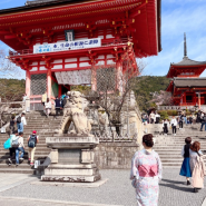 교토 청수사 가는법 벚꽃 입장료 기온거리 기요미즈데라 야사카탑