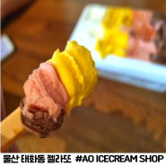 울산 태화동 젤라또 아이스크림 샵 에이오우 포장후기