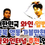 대한민국 와인 일번지 충북 영동 가볼만한곳 영동와인터널 추천 입장료