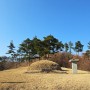 충북 영동 난계 박연 선생 묘소(국악체험촌 옆)