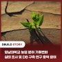 [디빌드 DBUILD] 영남대학교 농업 분야 기후변화 실태 조사 및 DB 구축 연구 용역 참여