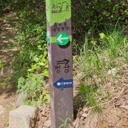 인천 계양산 등산코스 :장미원 입구