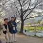 ♥염남매 4/1~4/15 일상, 벚꽃시즌, 태권도승품심사준비, 명지 너울공원:)