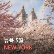 [뉴욕여행] 5월 뉴욕 날씨 및 옷차림 뉴욕 이벤트 & 액티비티 추천