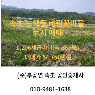 속초 노학동 바람꽃마을 토지매매