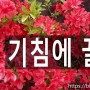 기침이 심할땐 - 꿀 - 마늘과 천식 - 기관지염 4/27