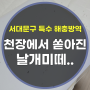 천장에서 날개미 떼가 나왔다? 서대문구 날파리 해충방역