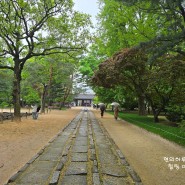 서울시내 가볼만한곳 초록초록한 녹음이 아름다운 종묘